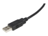 USB2HAB6 - StarTech.com 1,8 m Certifierad USB 2.0 A- till B-kabel - Närbild