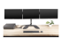 MST14DP123DP - StarTech.com 3-ports multi-bildskärmsadapter - Framsidan
