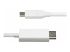 CDP2DP2MBW - 6.6 Ft. Usb C To Displayport Cable Adapter Dp To Usbc Convert - Framsidan