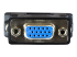 DVIVGAMFBK - StarTech.com DVI till VGA-kabeladapter – Svart – M/F - 