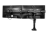 ARMTRIO - StarTech.com Skrivbordsmonterad trippel monitorarm - Närbild