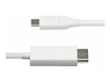 StarTech.com 6.6ft (2m) USB C to DisplayPort 1.2 Cable, Bidirectional